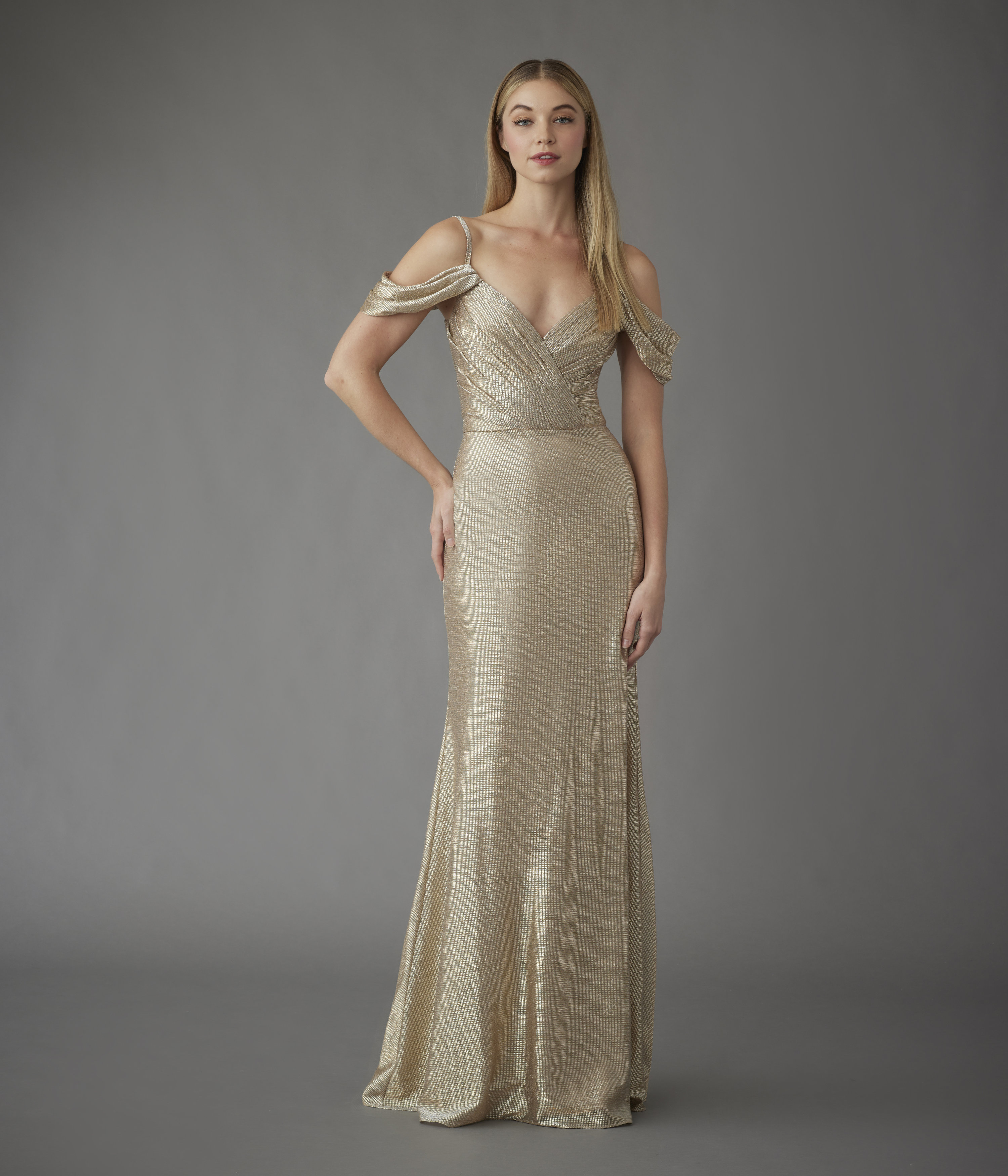 Style 79 Grecian Off Shoulder Chiffon Bridesmaids Dress – HeraBrides